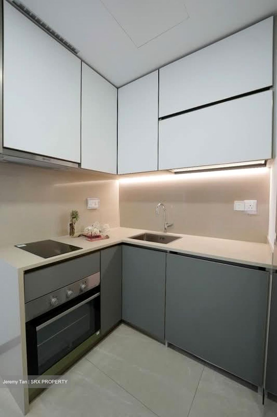 Normanton Park (D5), Apartment #553641041
